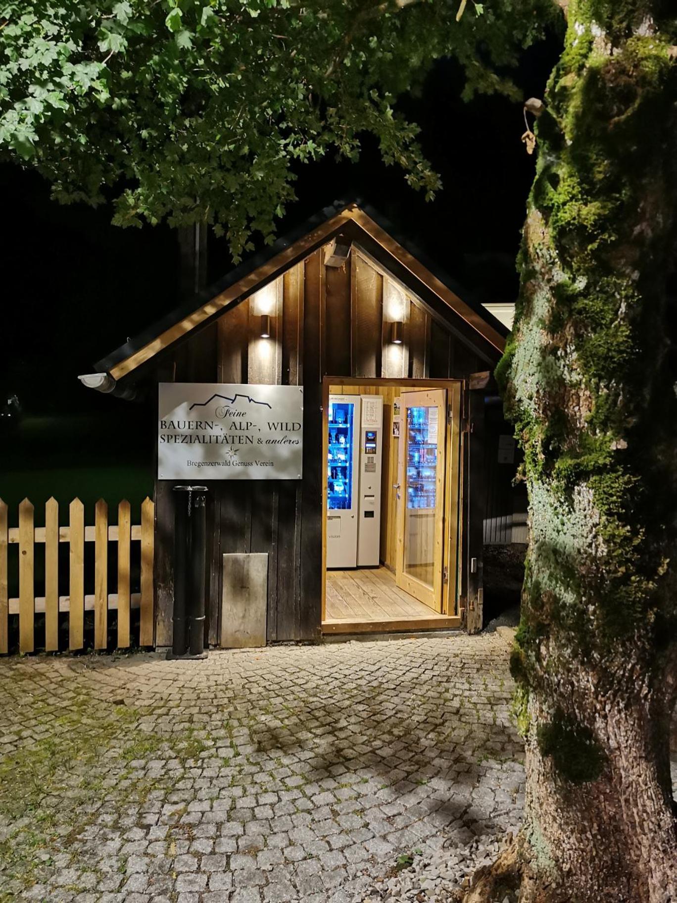 Alps Romantik Mellau Bagian luar foto